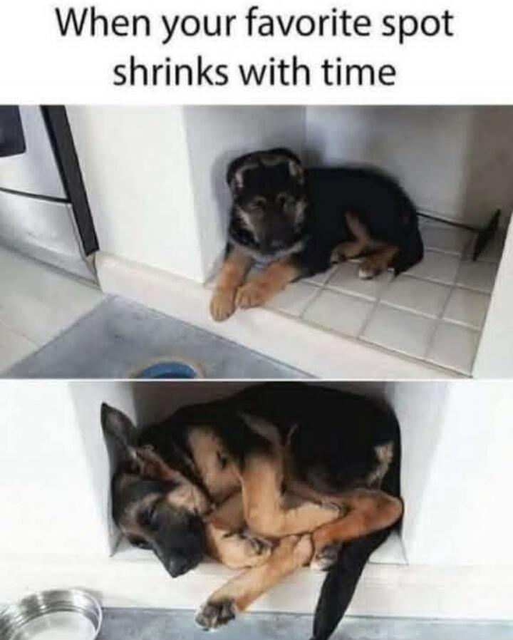 When your favorite spot shrinks with time