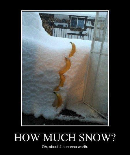HOW MUCH SNOW Oh about 4 bananas worth