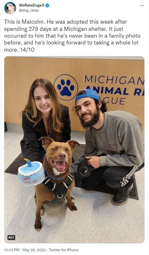 WeRateDogs dog rates o This is Malcolm He was adopted this week after spending 279 days at a Michigan shelter It just occurred to him that hes never been in a family photo before and hes looking forward to taking a whole lot more 1410 L5 o
