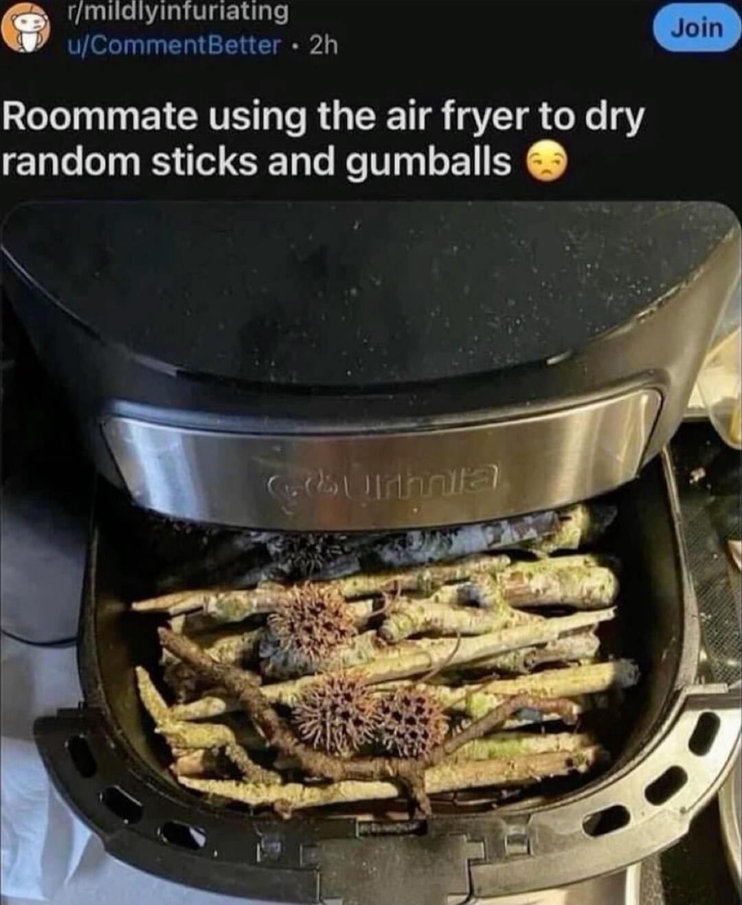 rmilalyintfuriating Q uCommentBetter 2h Roommate using the air fryer to dry random sticks and gumballs