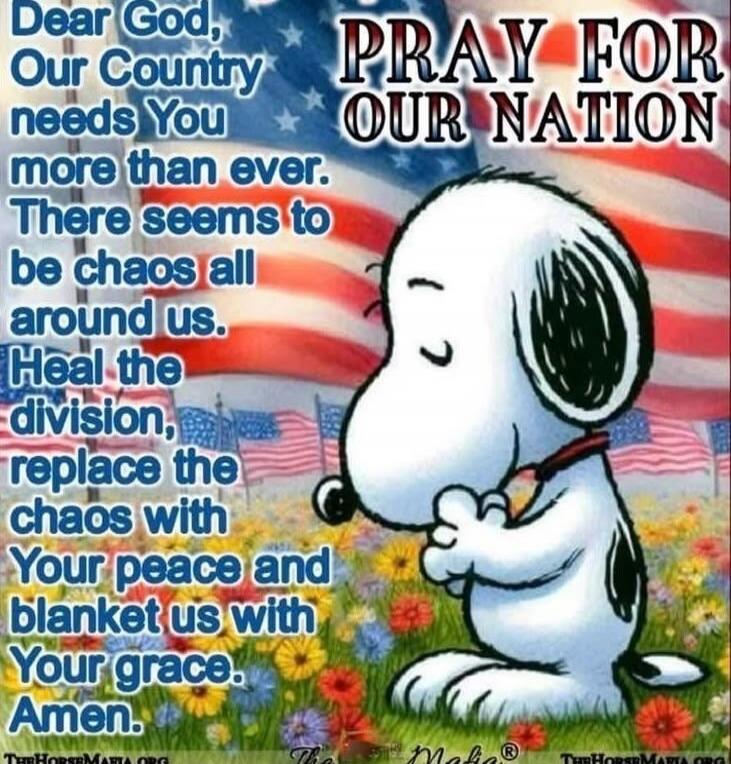 Dear God, Our Country needs You more than ever. There seems to be chaos all around us. Heal the division, replace the chaos with Your peace and blanket us with Your grace. Amen. PRAY FOR OUR NATION