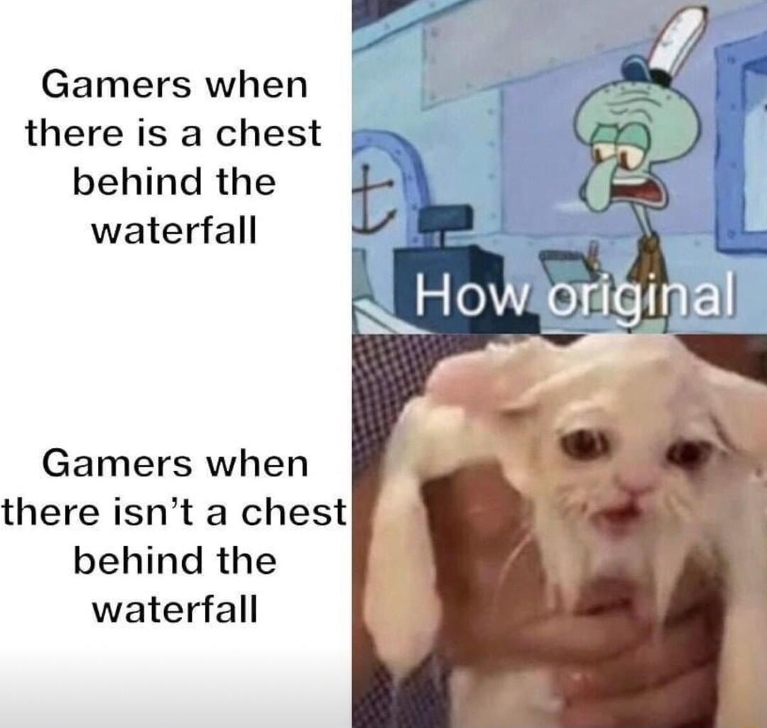 Gamers when there is a chest behind the waterfall t Gamers when there isnt a chest behind the waterfall