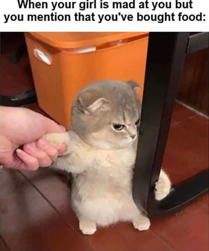 vwhen your girl Is mad at you bu you mention that youve bought food