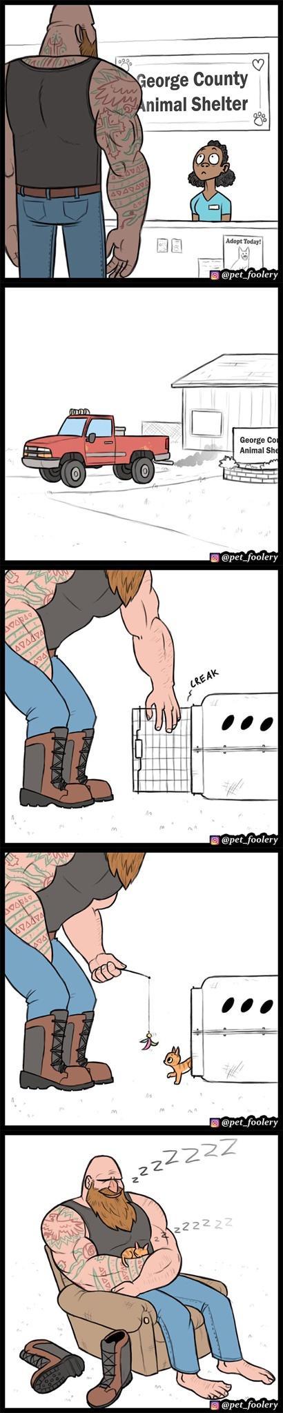 eorge County nimal Shelter fe