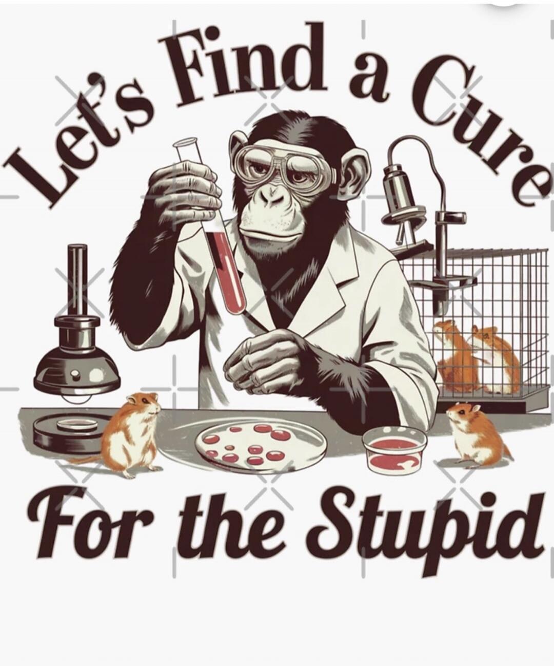 Let's Find a Cure For the Stupid