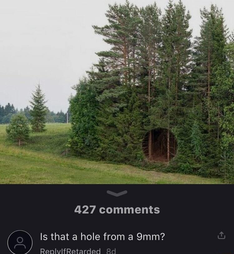 427 comments R GEIERGIER TRl RenlvifRetard