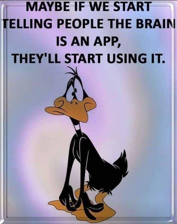 MAYBE IF WE START TELLING PEOPLE THE BRAIN IS AN APP THEYLL START USING IT