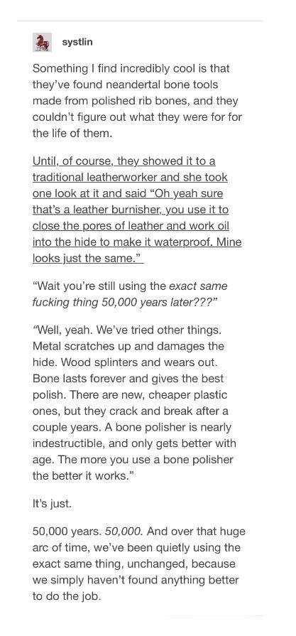 2 systin Something I find incredibly cool is that theyve found neandertal bone tools made from polished rib bones and they couldnt figure out what they were for for the life of them Until of course they showed it to a traditional leatherworker and she took Oh yeah sure thats a leather burnisher you use it to close the pores of leather and work oil into the hide to make it waterproof Mine looks jus