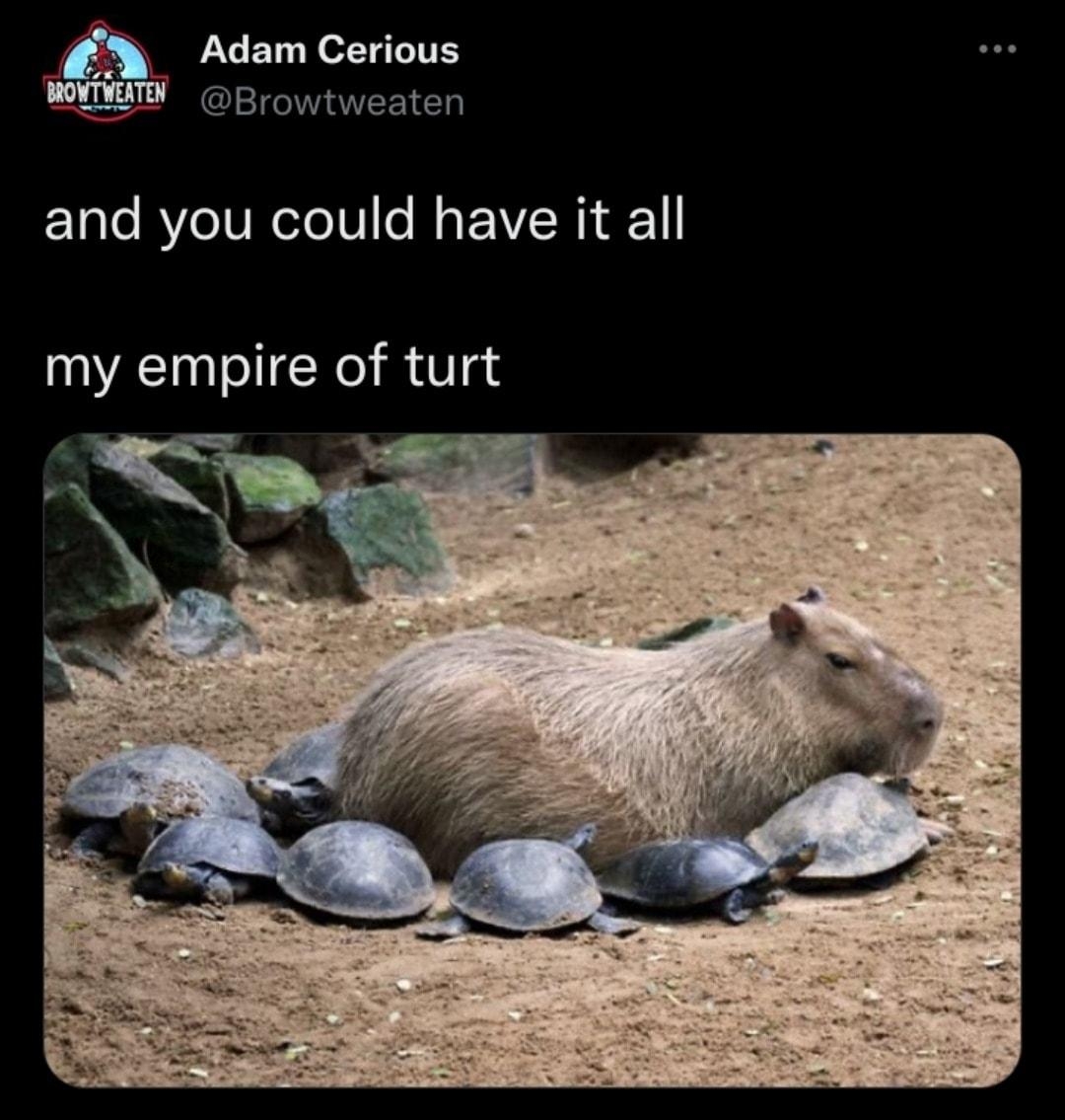 Adam Cerious WY Browtweaten and you could have it all my empire of turt 1013 AM Jun 30 2022 Twitter for Android