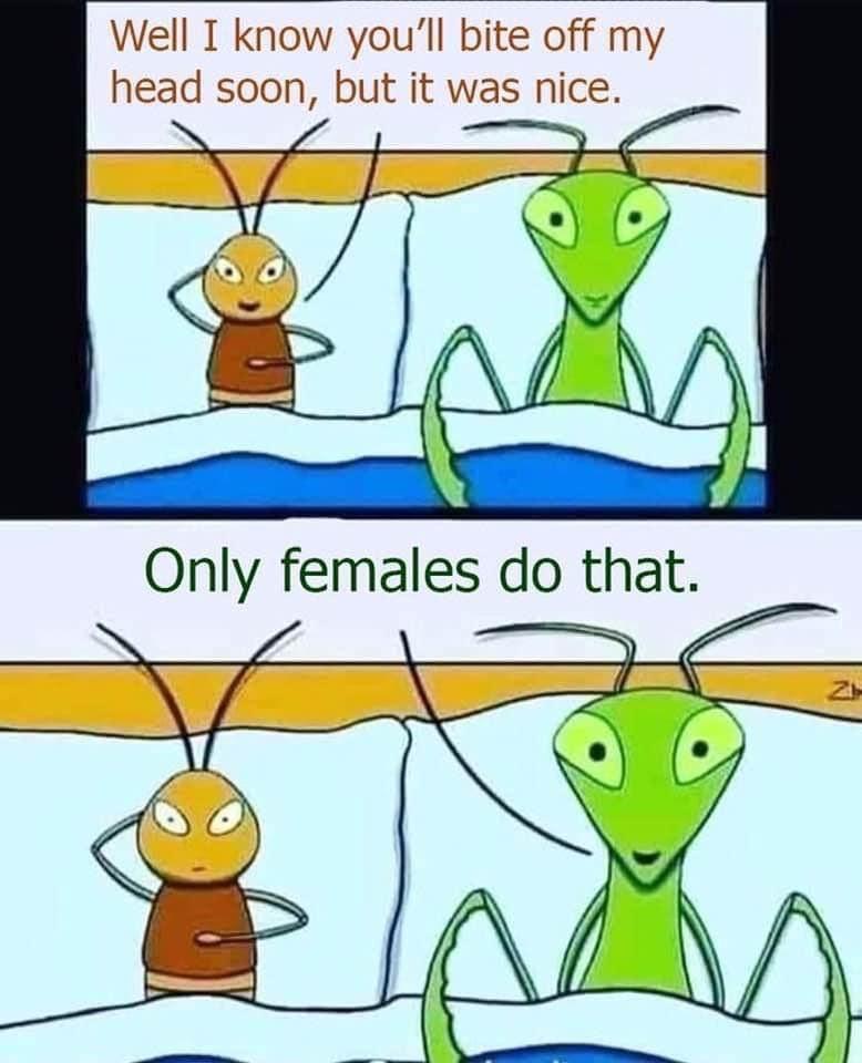 Only females do that T