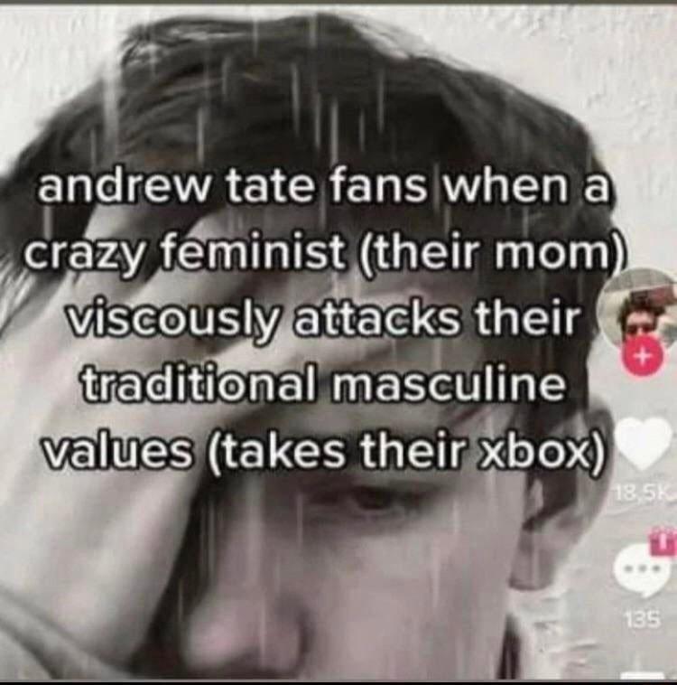 angrew tate fans when a Welfr4 fminist their mom 7 viscouslyattacks their traditional masculme