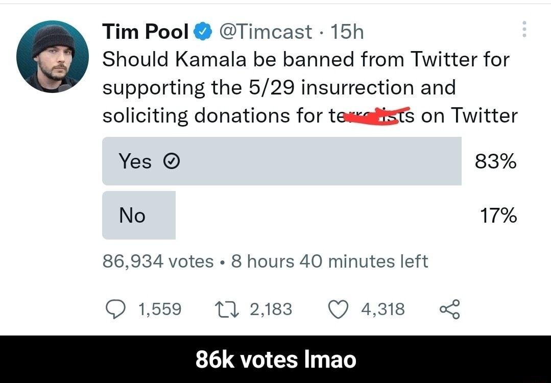 Tim Pool Timcast 15h Should Kamala be banned from Twitter for supporting the 529 insurrection and soliciting donations for tessafsTs on Twitter Yes 83 No 17 86934 votes 8 hours 40 minutes left o 86k votes Imao