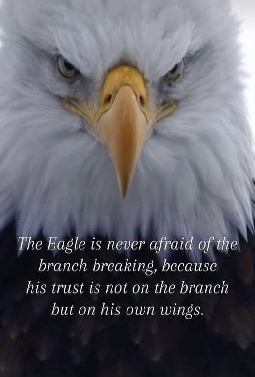 The Eagle is never afraid of the branch breaking, because his trust is not on the branch but on his own wings.