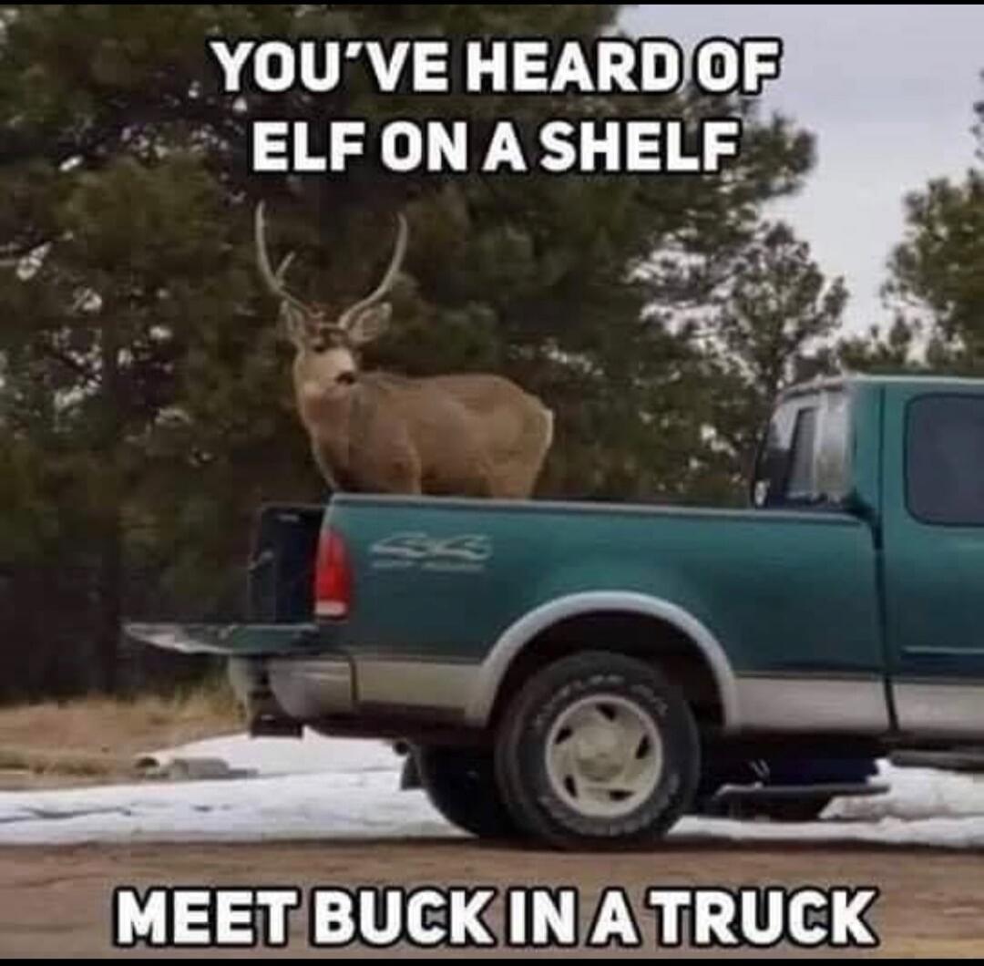 YOU'VE HEARD OF ELF ON A SHELF MEET BUCK IN A TRUCK