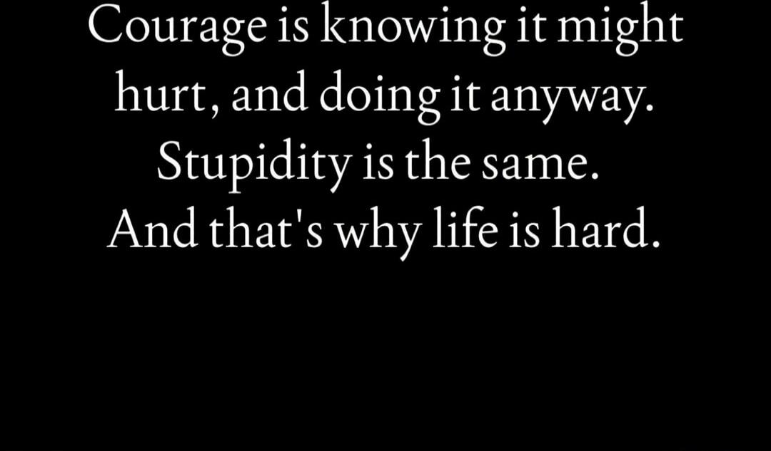 Courage is knowing it might hurt, and doing it anyway. Stupidity is the same. And that's why life is hard.