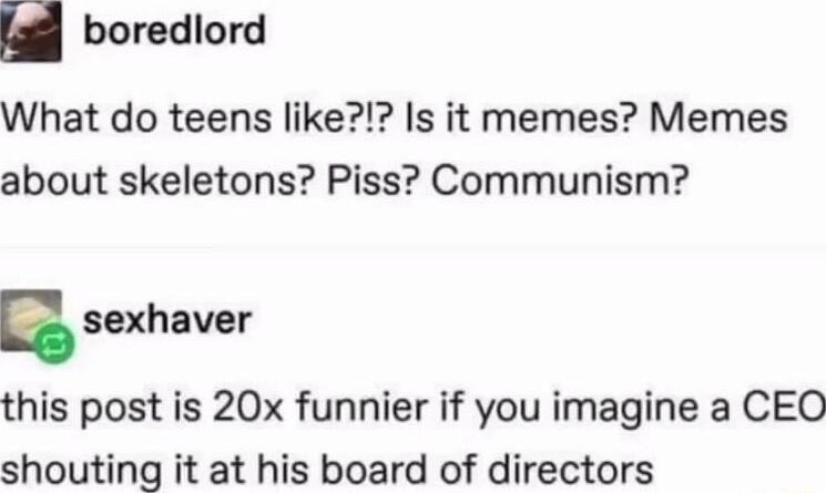 boredlord What do teens like Is it memes Memes about skeletons Piss Communism B sexhaver this post is 20x funnier if you imagine a CEO shouting it at his board of directors
