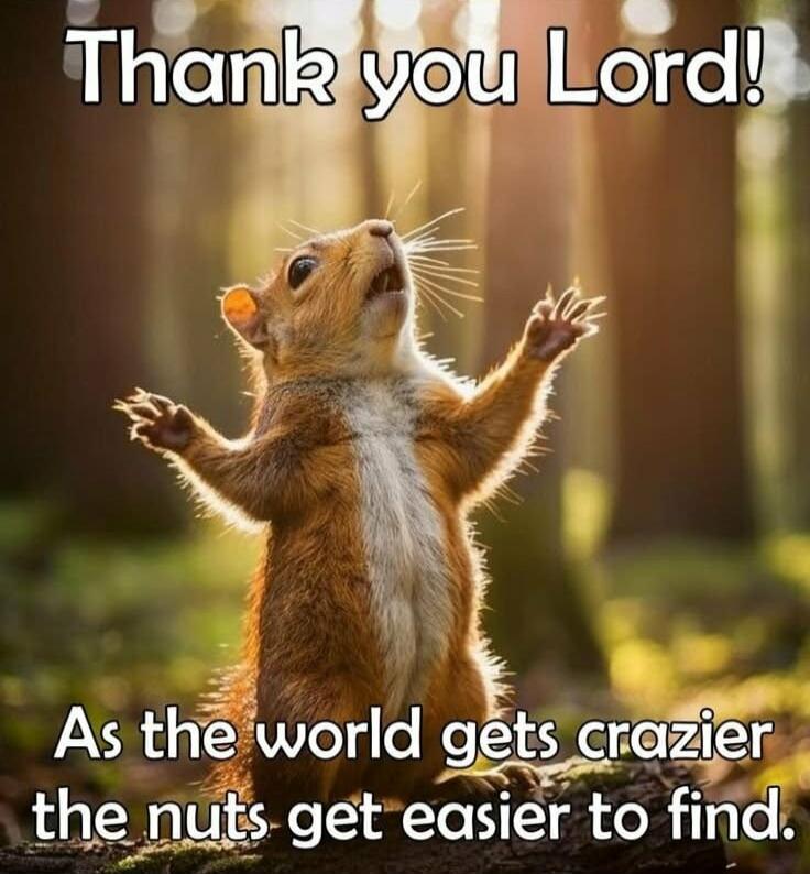 Thank you Lord! As the world gets crazier the nuts get easier to find.