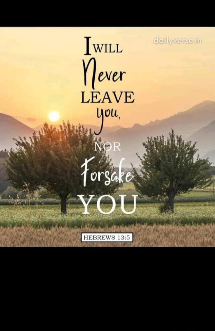 I will never leave you, nor forsake you. Hebrews 13:5