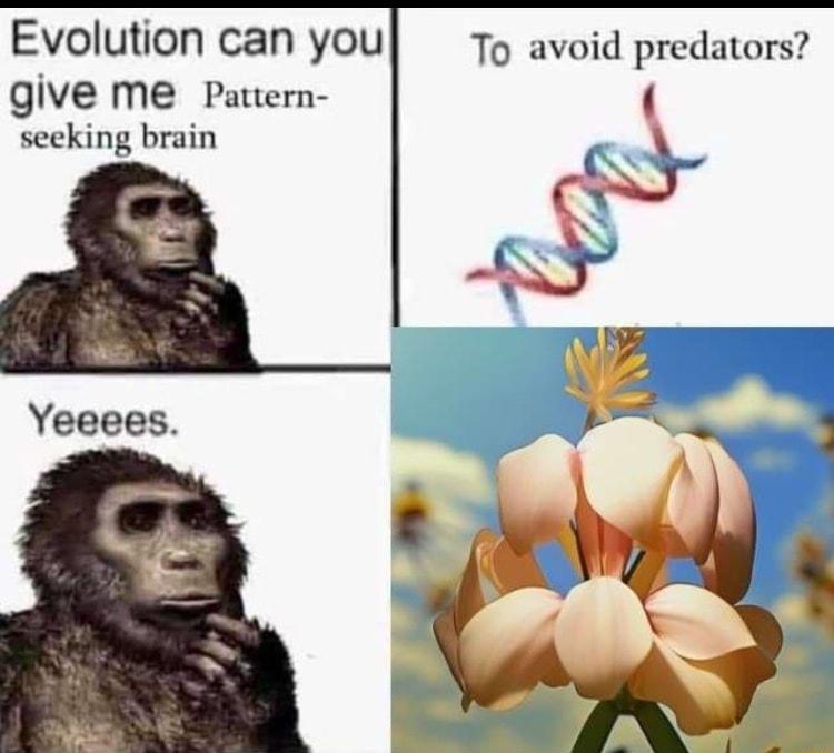 Evolution can you 1o avoid predators give me Patern seeking brain