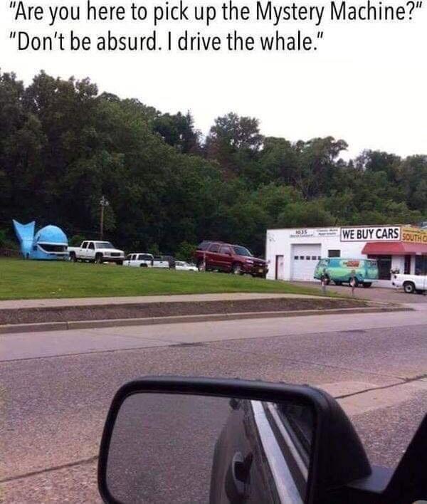 Are you here to pick up the Mystery Machine Dont be absurd drive the whale