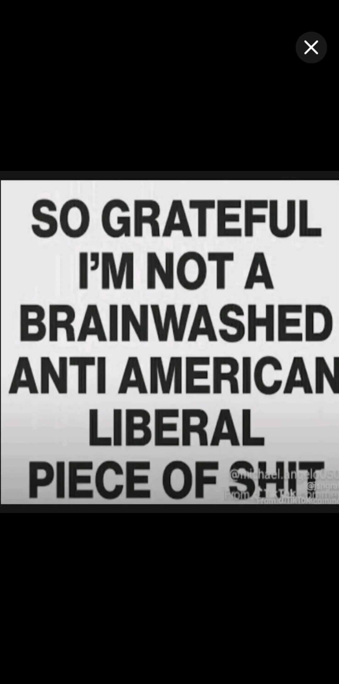 SO GRATEFUL I'M NOT A BRAINWASHED ANTI AMERICAN LIBERAL PIECE OF SHIT