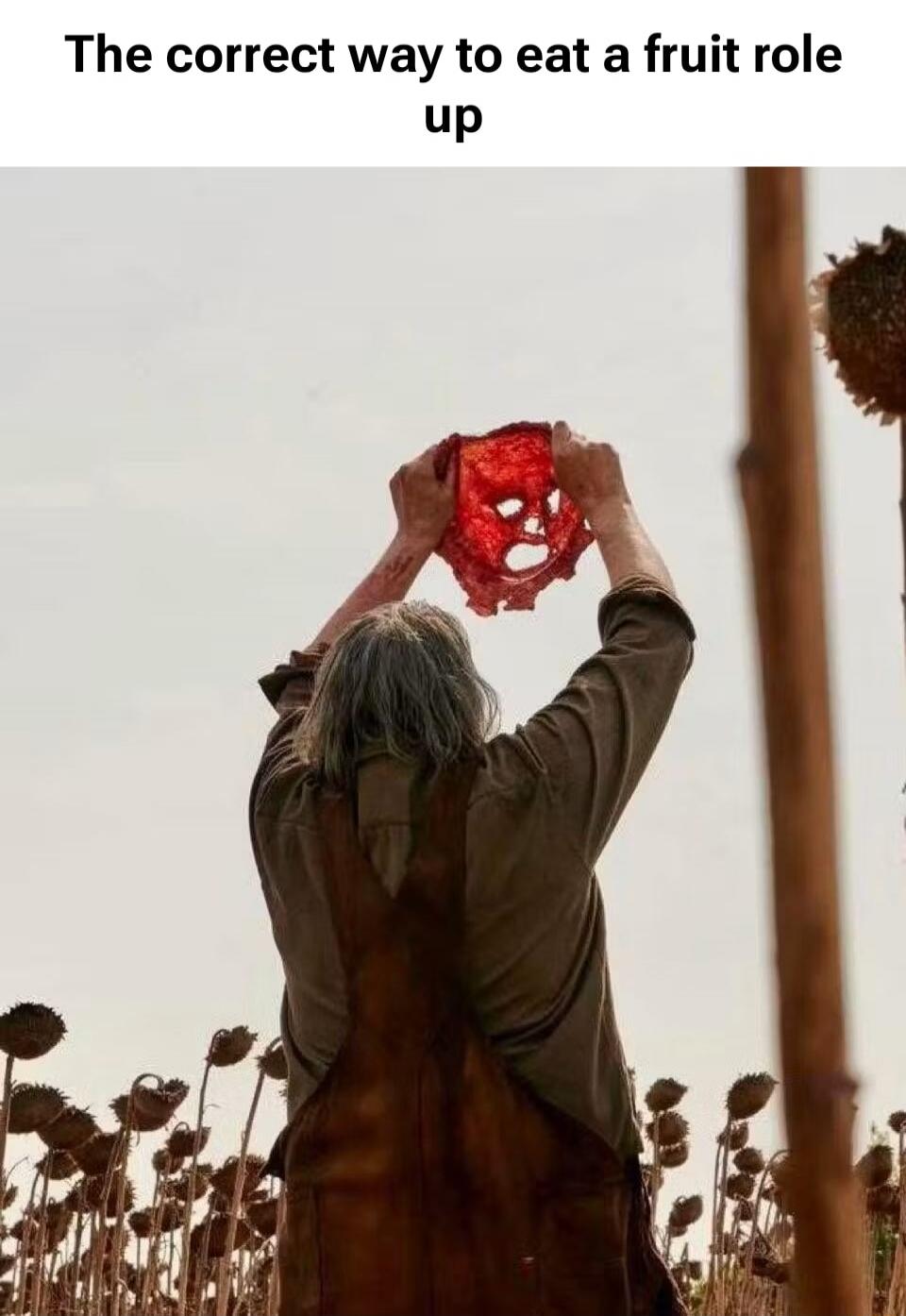 The correct way to eat a fruit role up