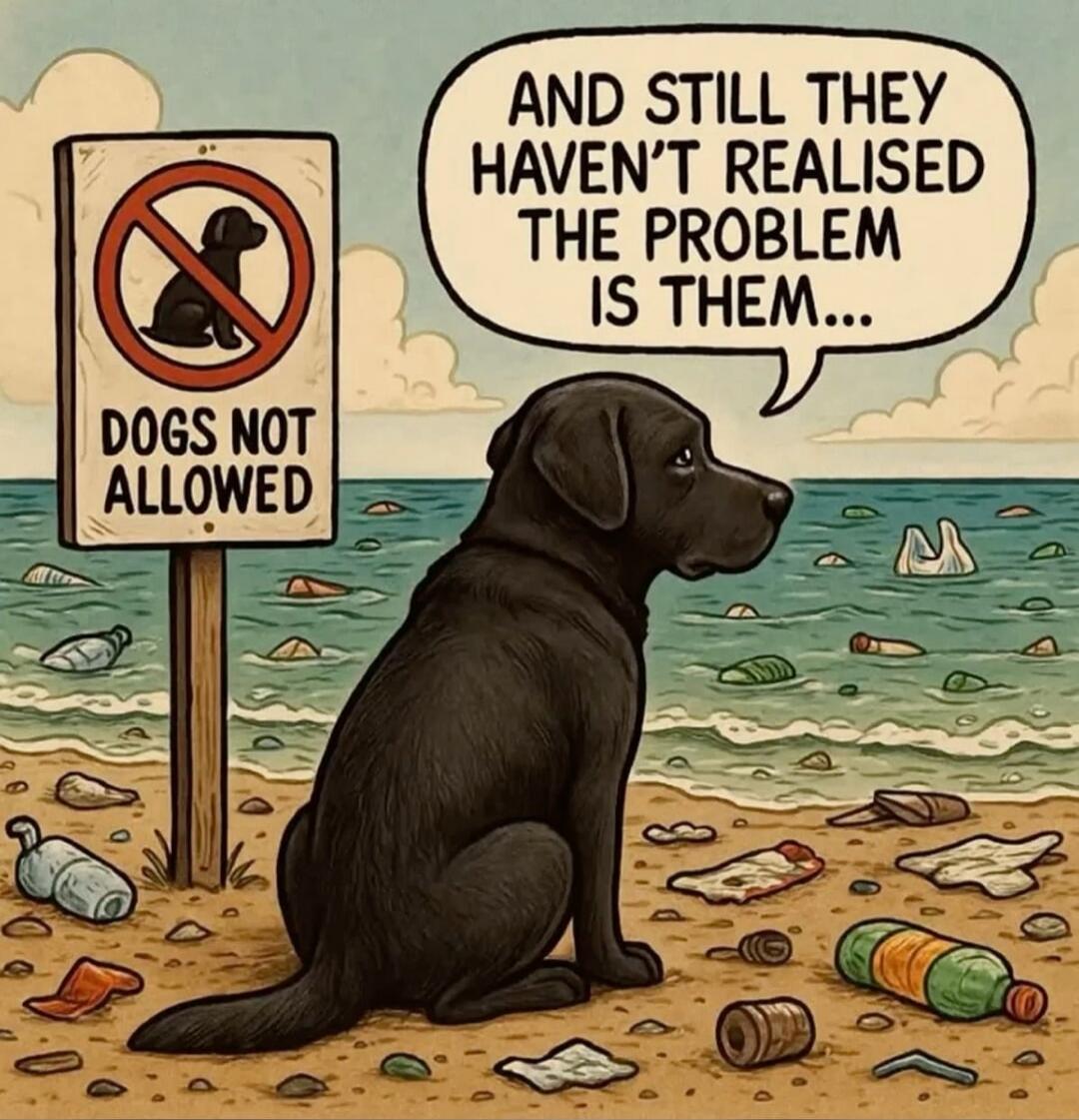 DOGS NOT ALLOWED. AND STILL THEY HAVEN'T REALISED THE PROBLEM IS THEM...