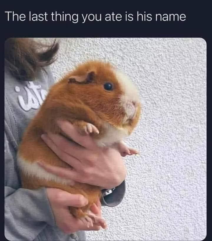 The last thing you ate is his name