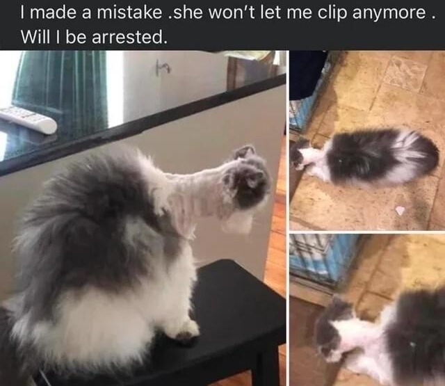 e made a mistake she wont let me clip anymore Will be arrested 1