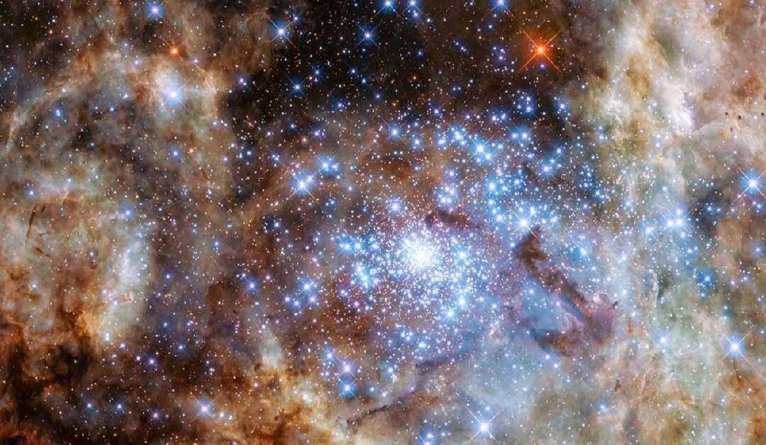 Session ID: 1030334.