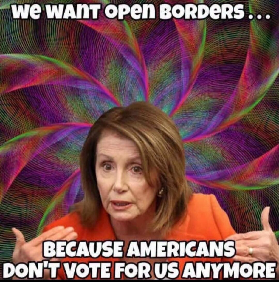 we want open borders... BECAUSE AMERICANS DON'T VOTE FOR US ANYMORE