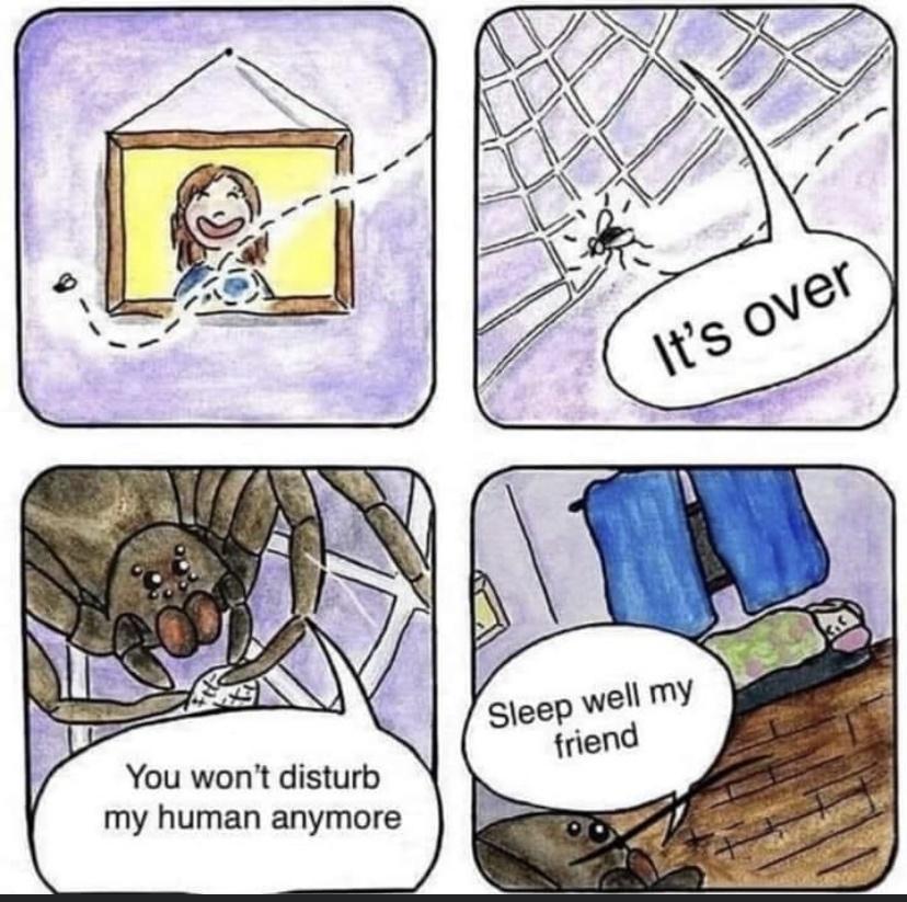 You wont disturb my human anymore