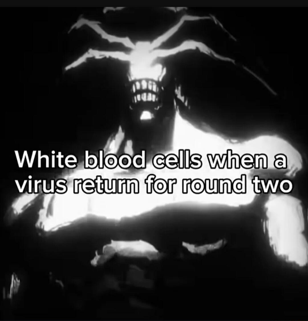 White blood cells when a virus return for round two