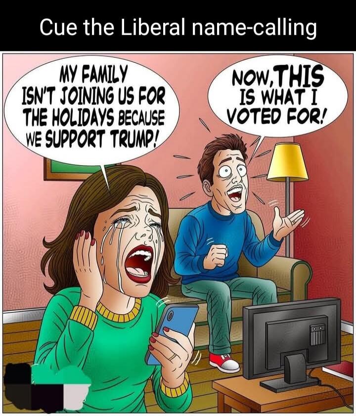 Cue the Liberal name-calling
My family isn't joining us for the holidays because we support Trump!
Now, this is what I voted for!