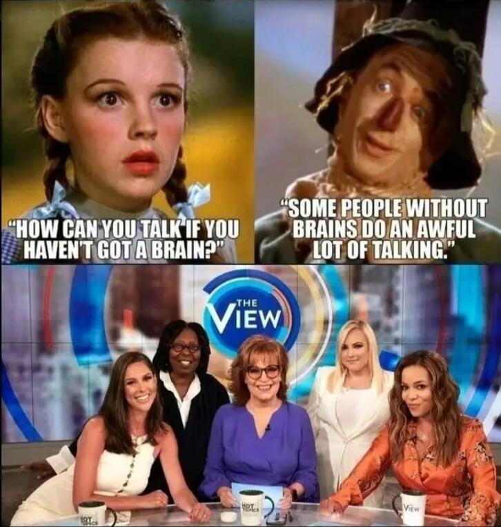 HOW CAN YOU TALK IF YOU HAVEN'T GOT A BRAIN? SOME PEOPLE WITHOUT BRAINS DO AN AWFUL LOT OF TALKING. THE VIEW