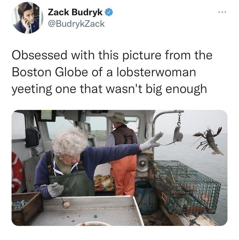 p Zack Budryk 74 BudrykZack Obsessed with this picture from the Boston Globe of a lobsterwoman yeeting one that wasnt big enough