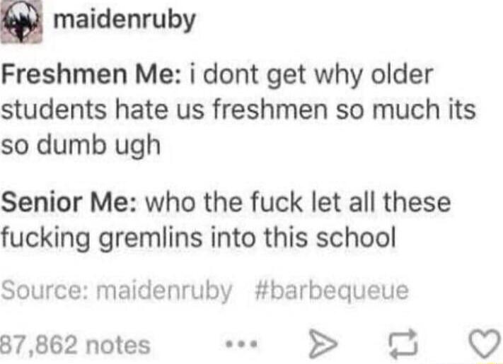 n maidenruby Freshmen Me i dont get why older students hate us freshmen so much its so dumb ugh Senior Me who the fuck let all these fucking gremlins into this school Source maidenruby barbequeue 87862 notes o 8 Q