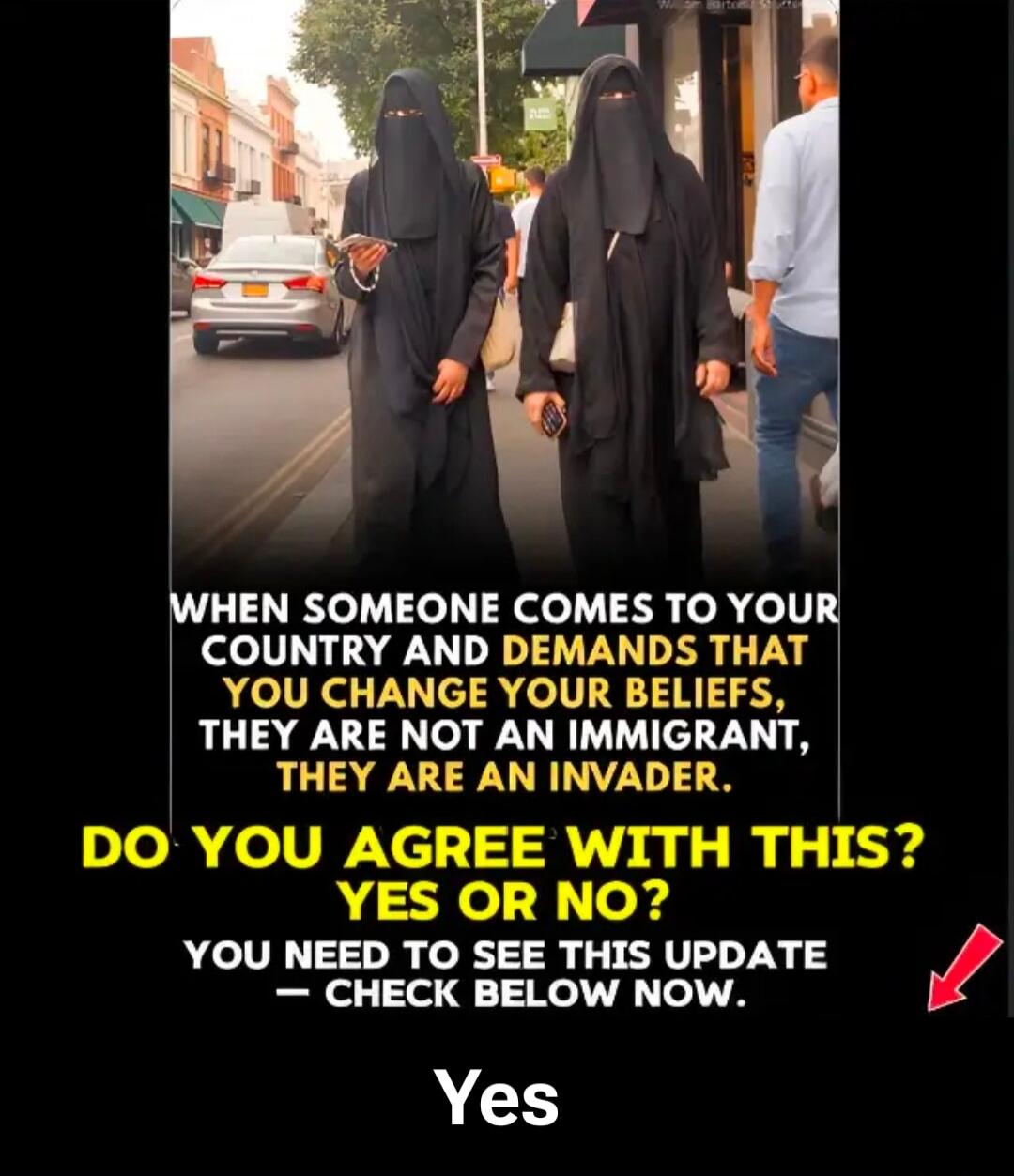 WHEN SOMEONE COMES TO YOUR COUNTRY AND DEMANDS THAT YOU CHANGE YOUR BELIEFS, THEY ARE NOT AN IMMIGRANT, THEY ARE AN INVADER. DO YOU AGREE WITH THIS? YES OR NO? YOU NEED TO SEE THIS UPDATE - CHECK BELOW NOW. Yes