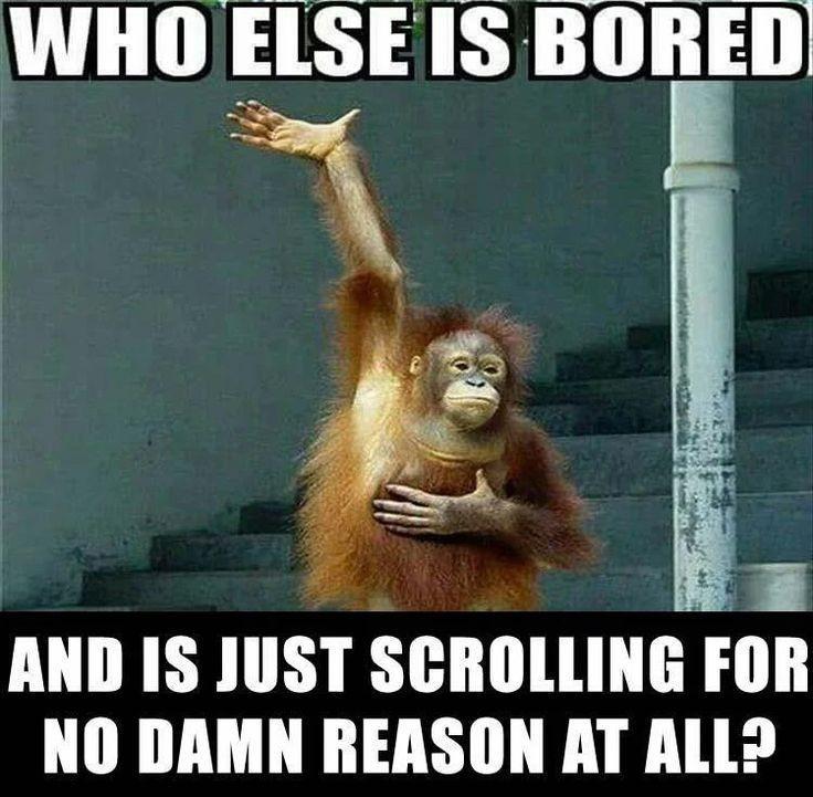 WHO ELSE IS BORED n AND IS JUST SCROLLING FOR NO DAMN REASON AT ALL