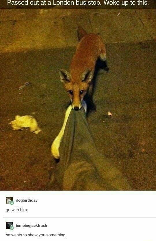 Passed out at a London bus stop Woke up to this Y coobitay R b