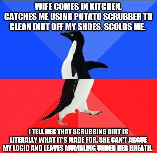 WIFE COMES IN KITCHEN CATCHES ME USING POTATO SCRUBBER TO CLEAN DIRT OFF MY SHOES SCOLDS ME 1 TELL HER THAT SCRUBBING DIRT IS LITERALLY WHAT ITS MADE FOR SHE CANT ARGUE MY LOGIC AND LEAVES MUMBLING UNDER HER BREATH