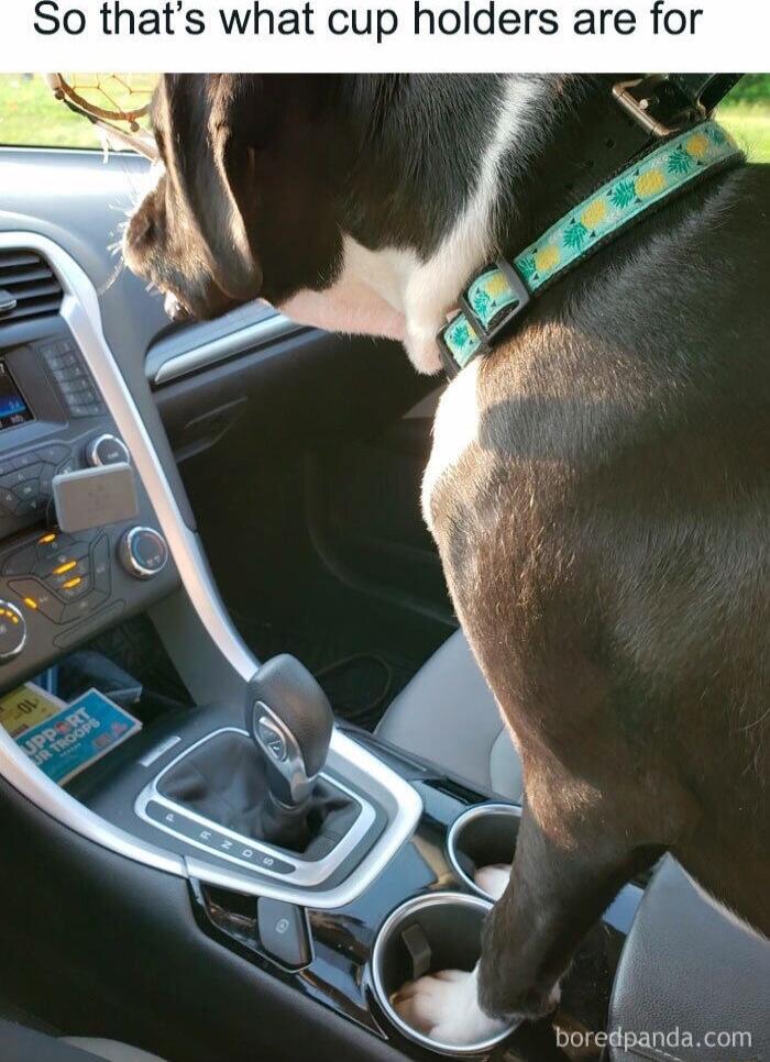 0 thats what cup holders are for boredpandacom