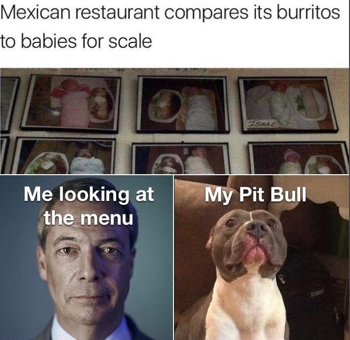 Mexican restaurant compares its burritos 0 babies for scale b 8 N Me looking at My Pit Bull 5 y