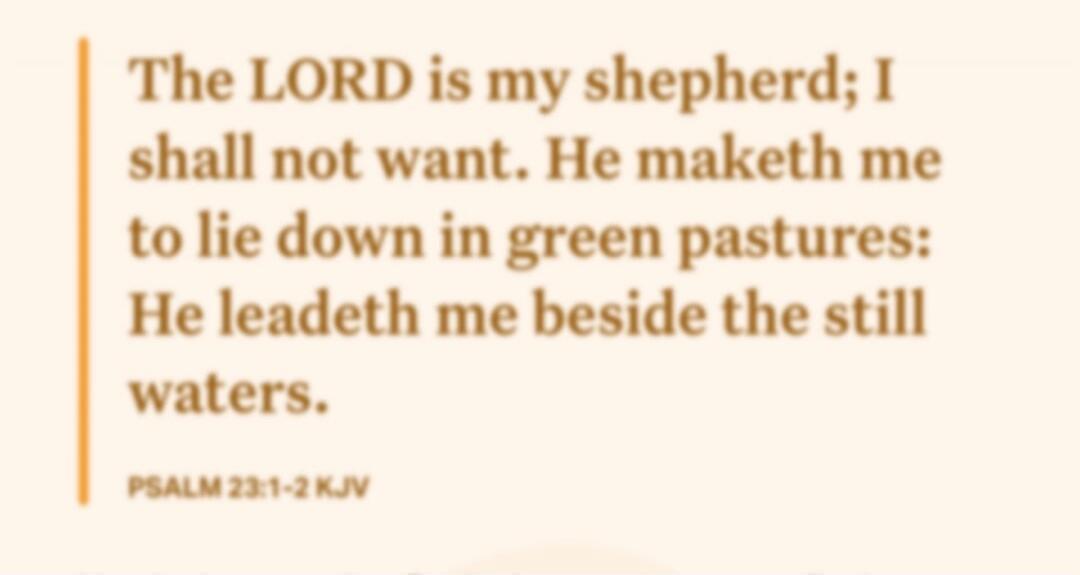 The LORD is my shepherd; I shall not want. He maketh me to lie down in green pastures: He leadeth me beside the still waters. PSALM 23:1-2 KJV