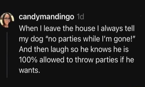 ENT N EN TT TeT IS LR EEVER R T I M VER my dog no parties while Im gone And then laugh so he knows he is 100 allowed to throw parties if he NELIEN