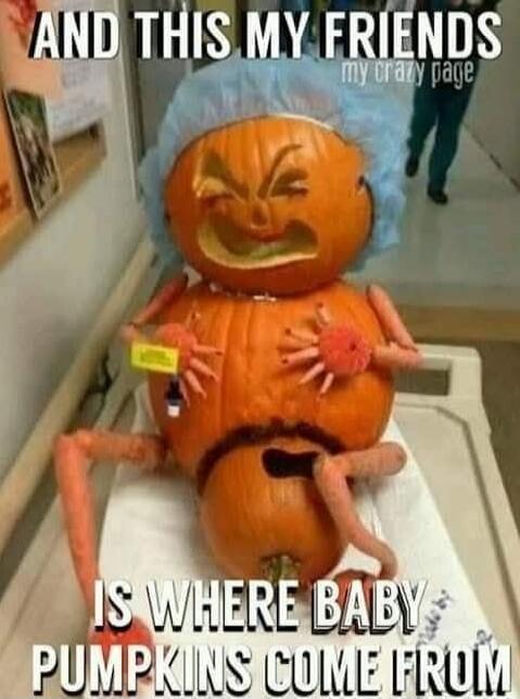 AND THIS MY FRIENDS IS WHERE BABY PUMPKINS COME FRUM