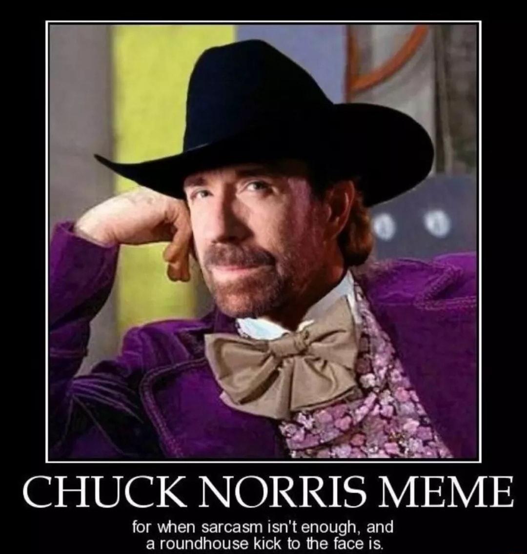 CHUCK NORRIS MEME for when sarcasm st enough and undhouse kick to the face is
