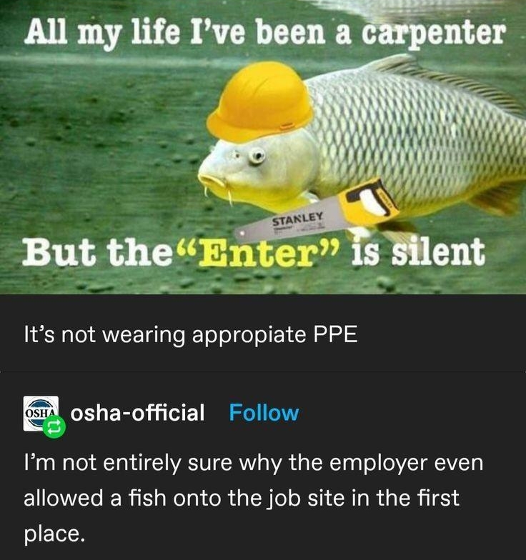 But thell h LR o ANTETgTale JETo o o o N ol o osha official Follow Im not entirely sure why the employer even allowed a fish onto the job site in the first place