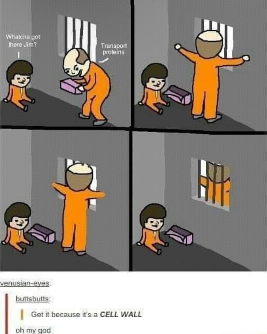 butishutts Getit because its a CELL WALL ot