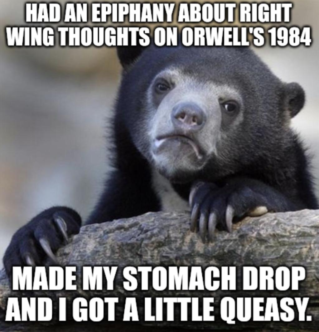 S HAD AN EPIPHANYABOUTRIGHT WING THOUGHTS ONORWELLS 1984 o ey MADE MY STOMACH DROP AND GOT A LITTLE QUEASY
